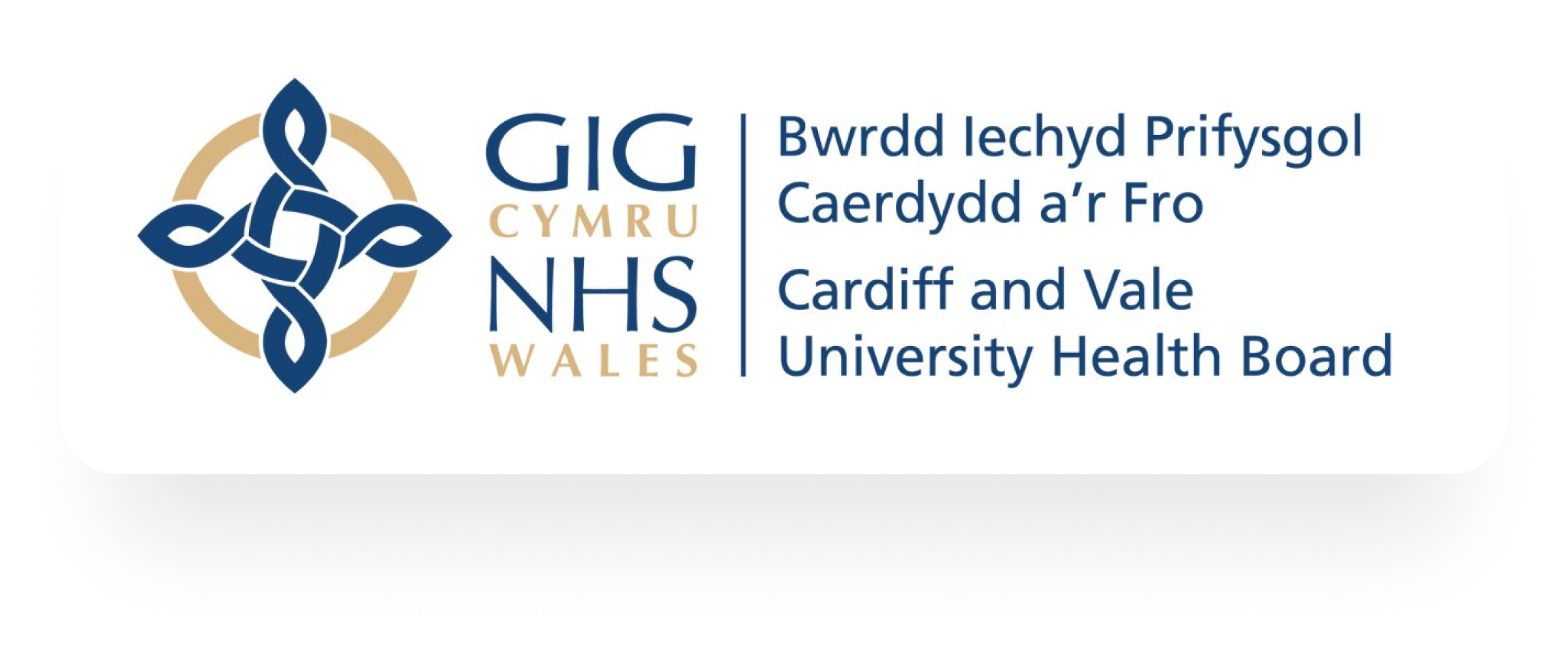 Improving grip and control: Cardiff and Vale University Health Board Cardiff and Vale University Health Board saves £312,563 in just 6 months
